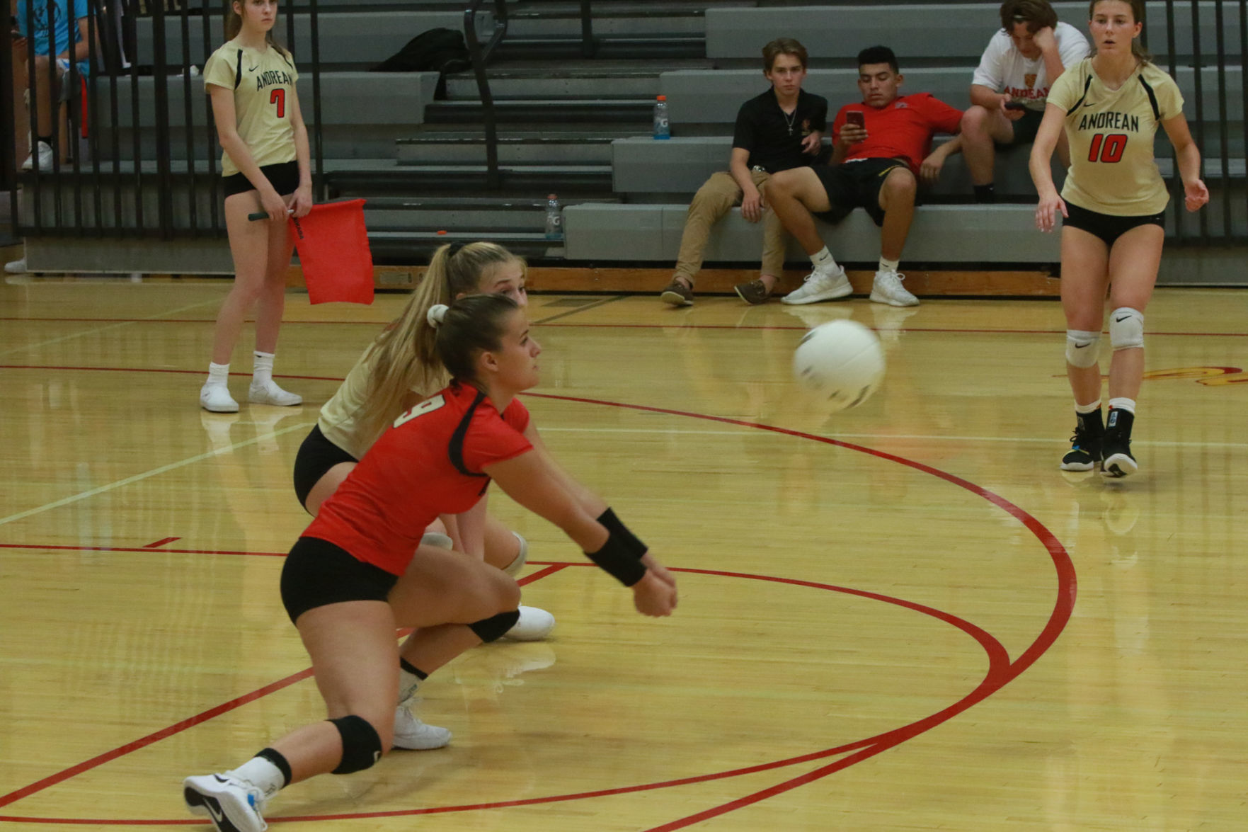 Gallery: Girls volleyball - Wheeler at Andrean